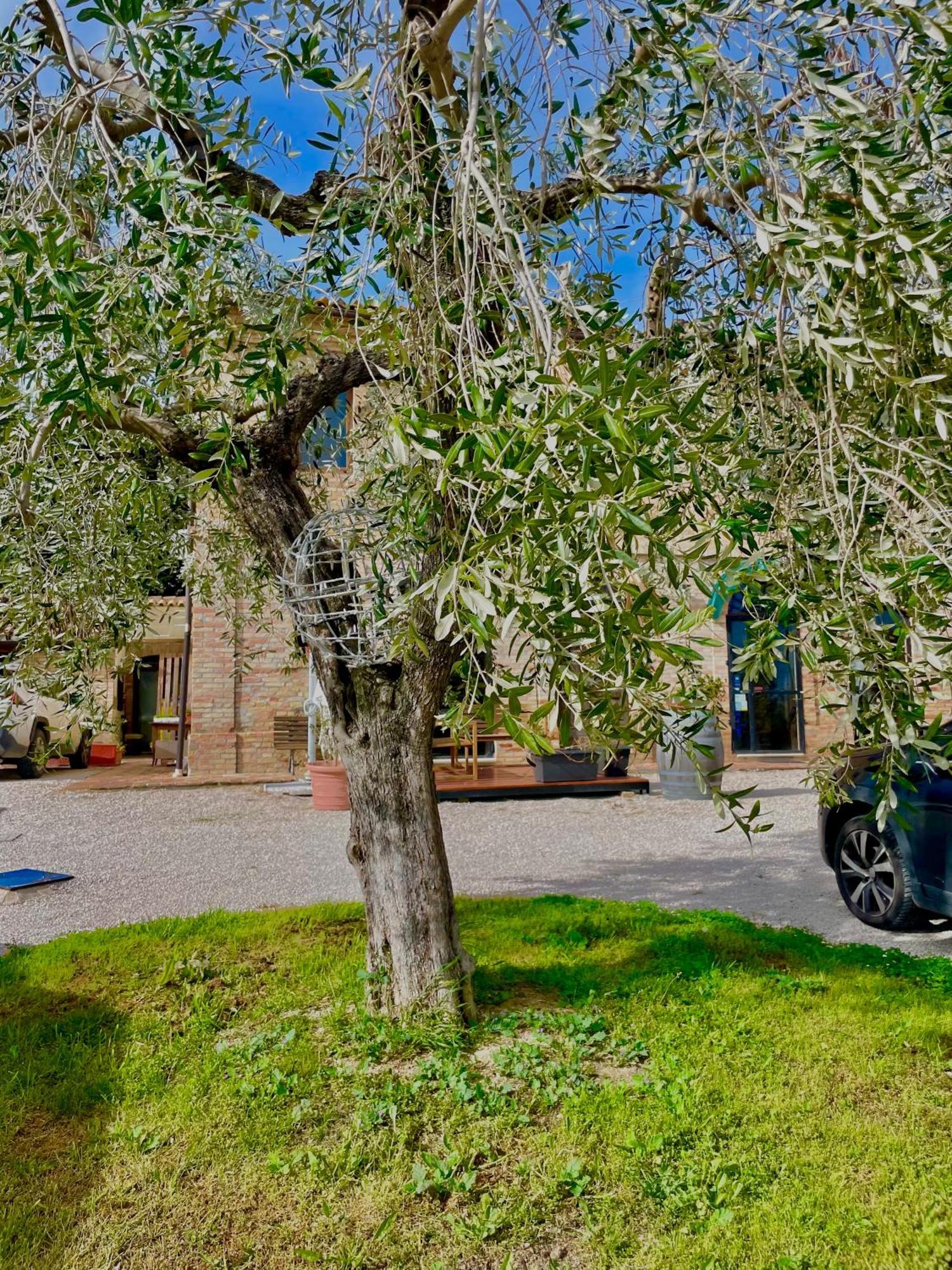 Masseria Tattoni - Residenza Di Campagna - Narramondo Villas Bellante Esterno foto